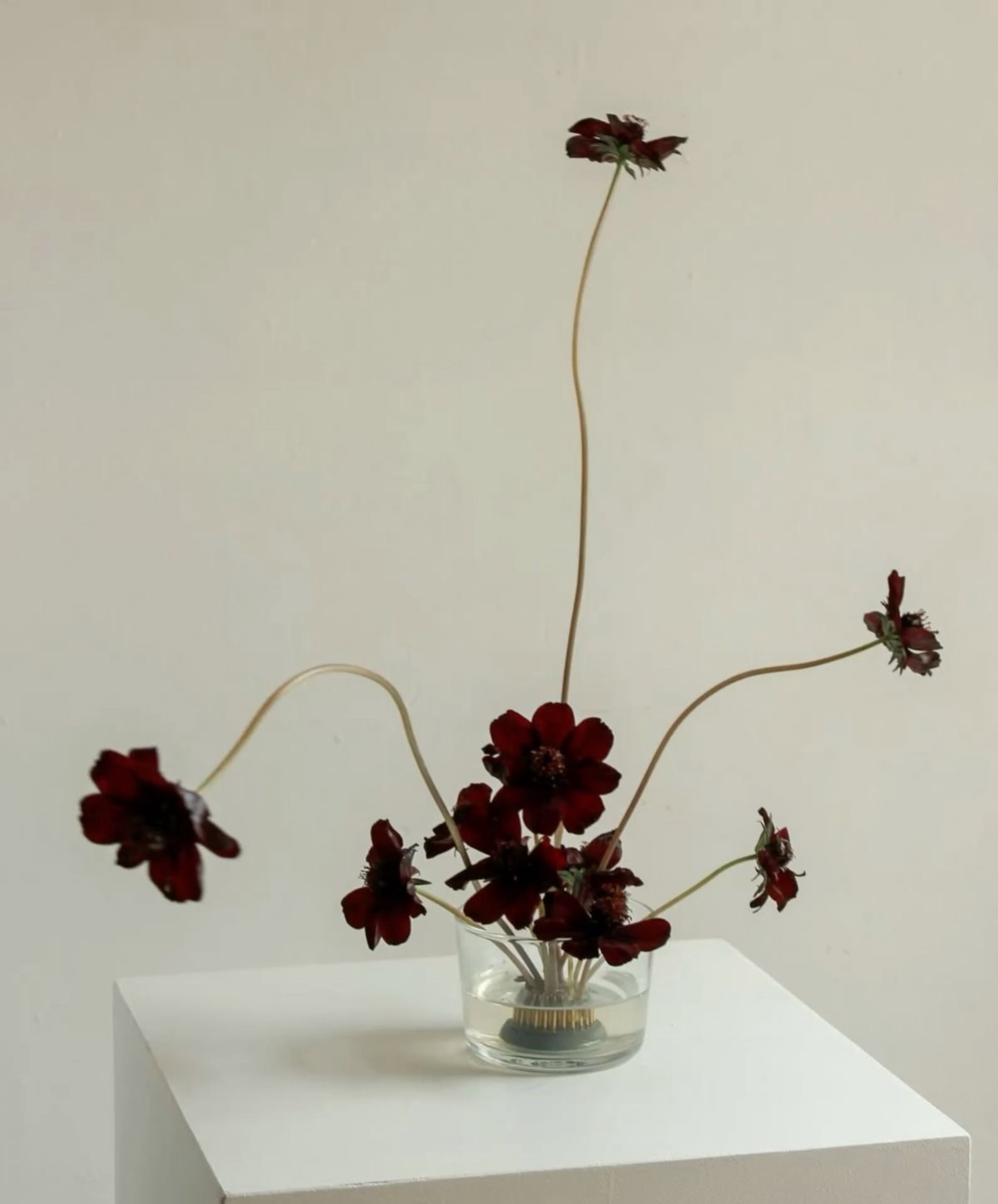 Magenta cymbidium orchid arrangement — Maison Bloom Bali