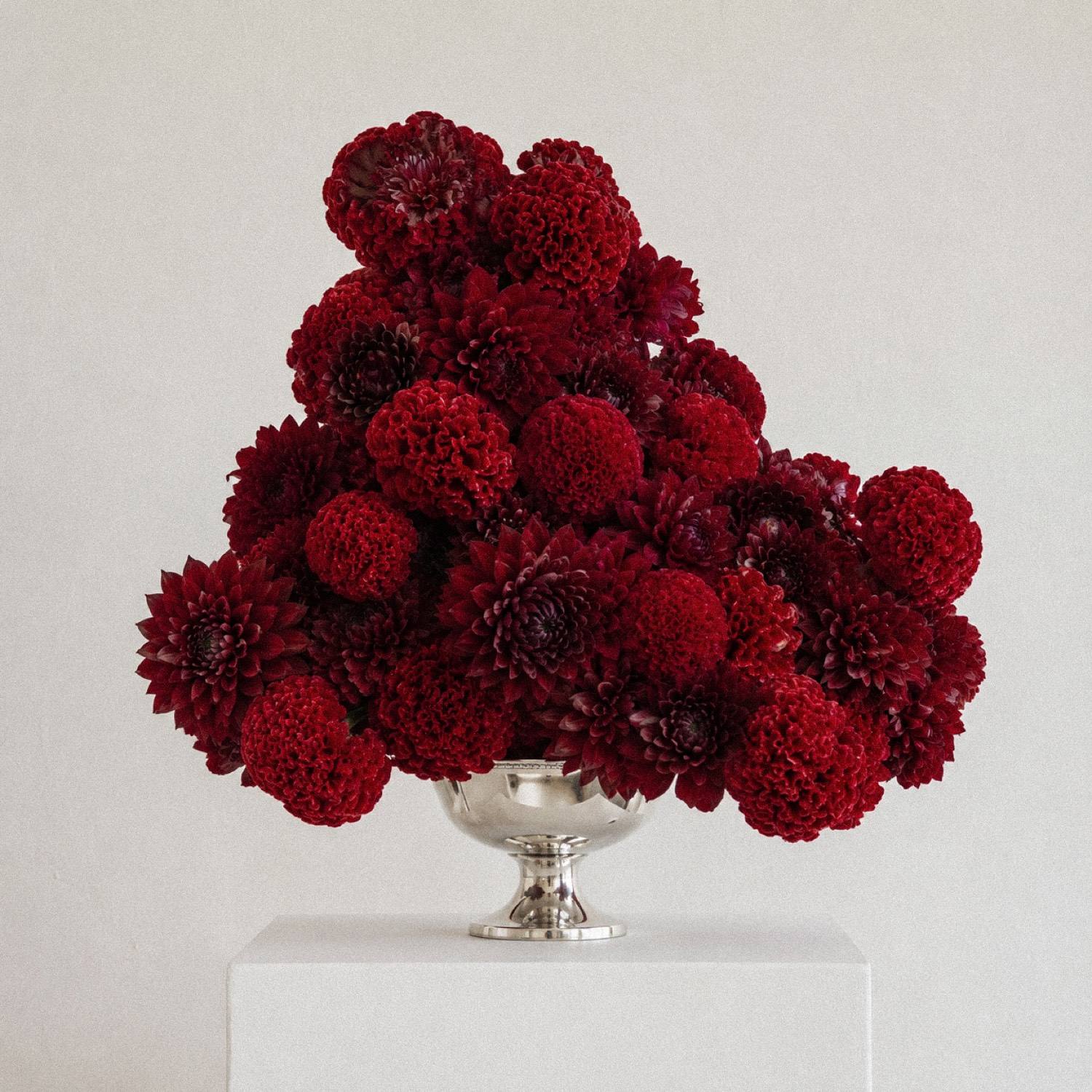 The Scarlet bouquet